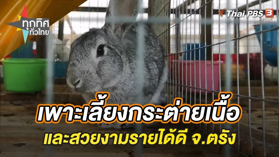ทุกทิศทั่วไทย