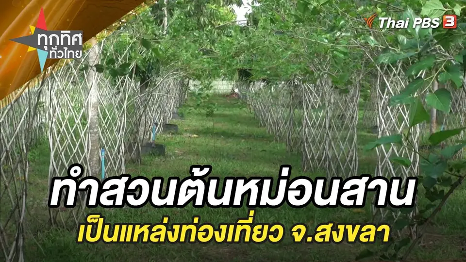 ทุกทิศทั่วไทย