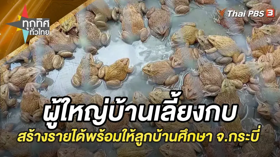 ทุกทิศทั่วไทย