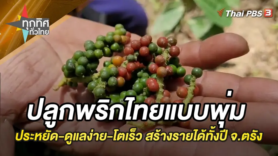 ทุกทิศทั่วไทย