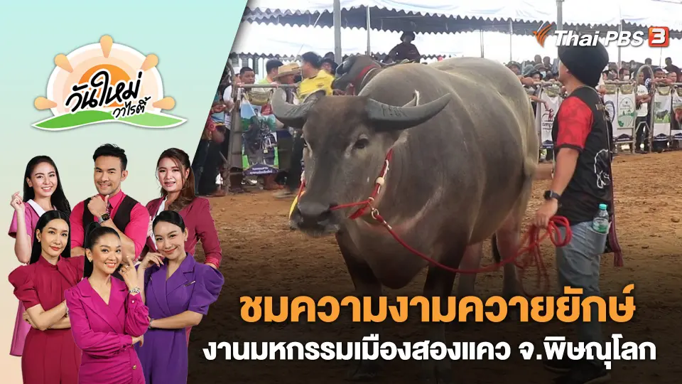 วันใหม่วาไรตี้