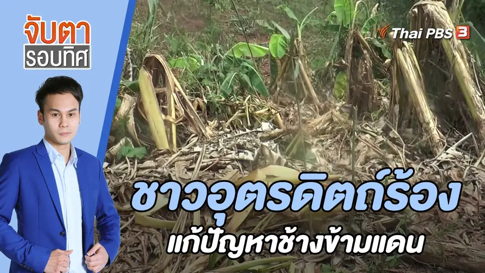 จับตารอบทิศ