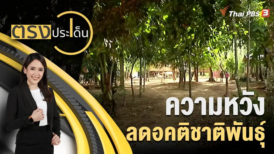 ตรงประเด็น
