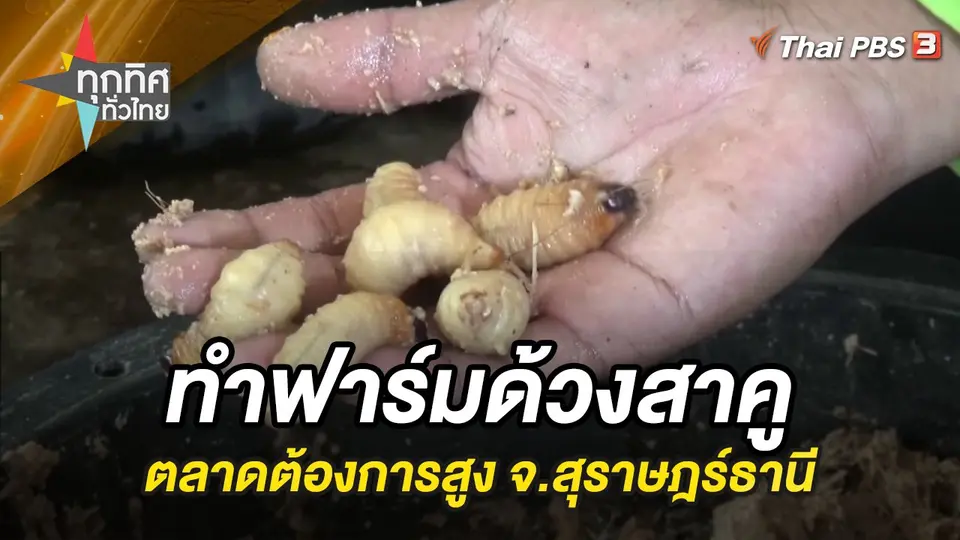 ทุกทิศทั่วไทย