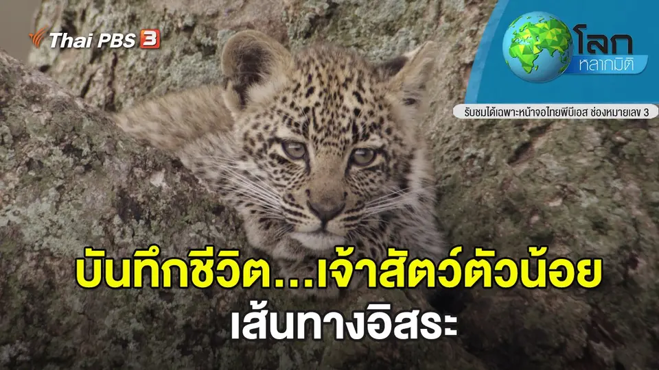 โลกหลากมิติ