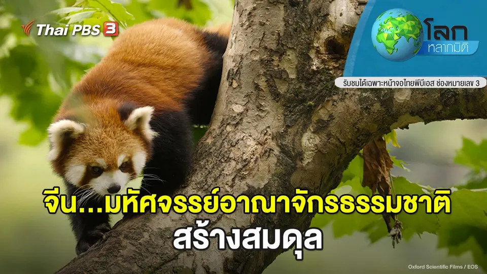 โลกหลากมิติ