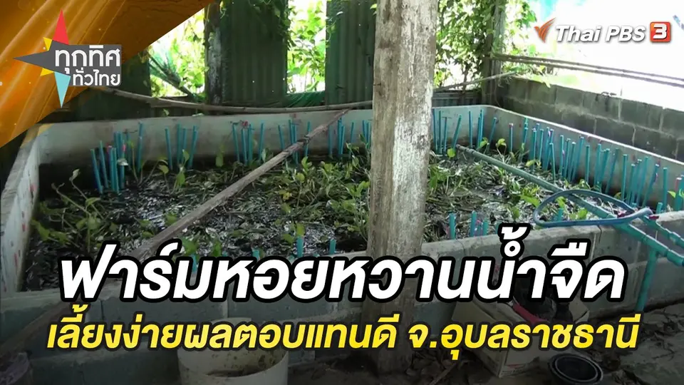 ทุกทิศทั่วไทย