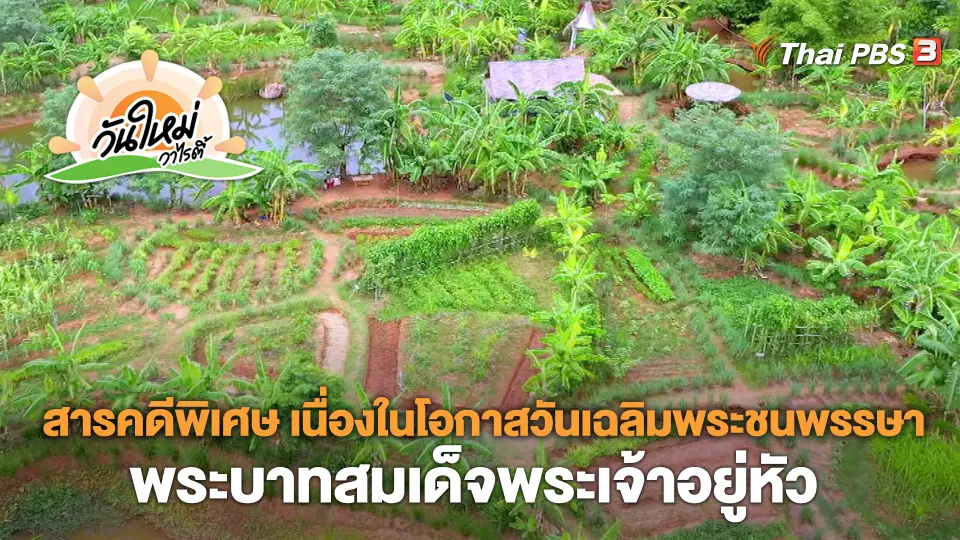 วันใหม่วาไรตี้