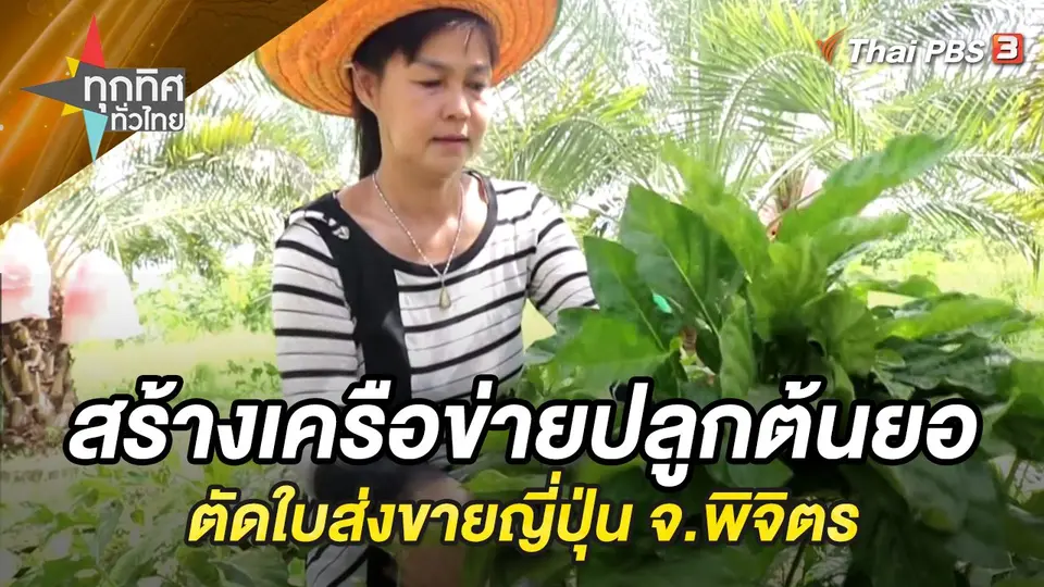 ทุกทิศทั่วไทย