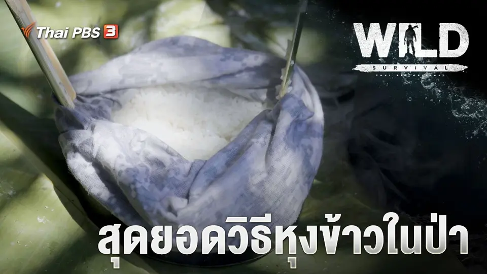 WILD SURVIVAL