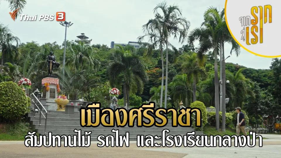 จากรากสู่เรา