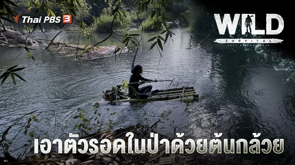 WILD SURVIVAL