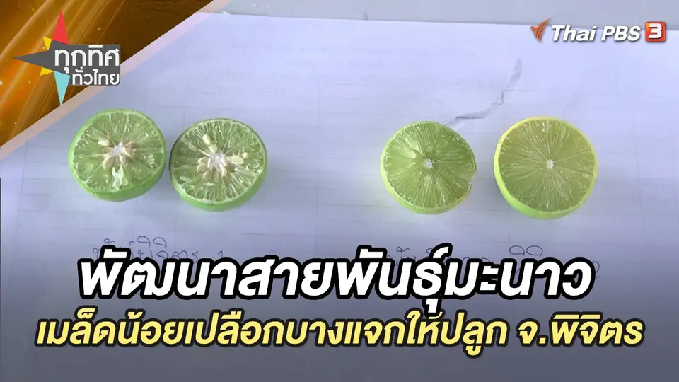 ทุกทิศทั่วไทย