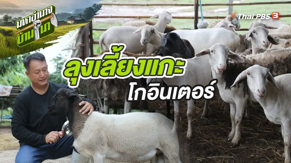 มหาอำนาจบ้านนา