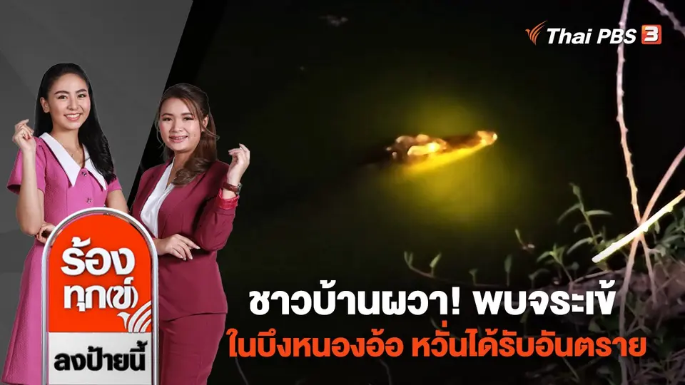 ชาวบ้านผวา! พบจระเข้ในบึงหนองอ้อ หวั่นได้รับอันตราย จ.ราชบุรี