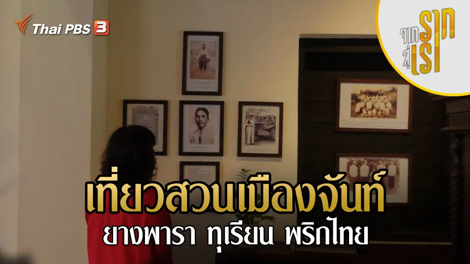 จากรากสู่เรา