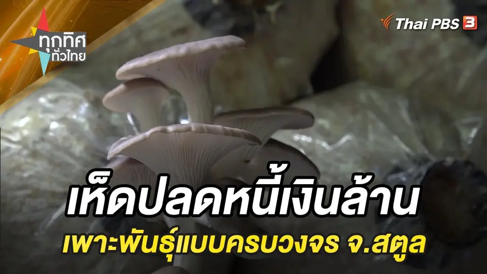 ทุกทิศทั่วไทย