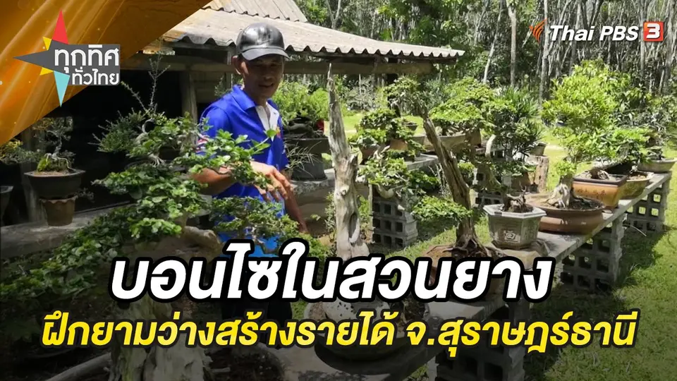 ทุกทิศทั่วไทย
