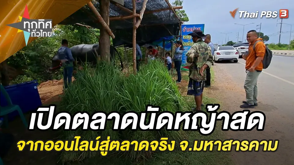 ทุกทิศทั่วไทย