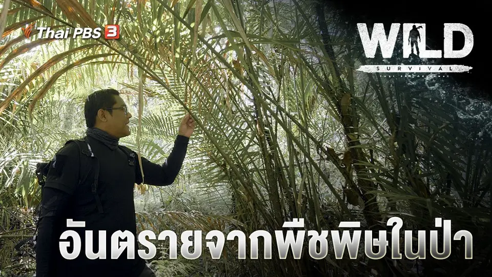 WILD SURVIVAL