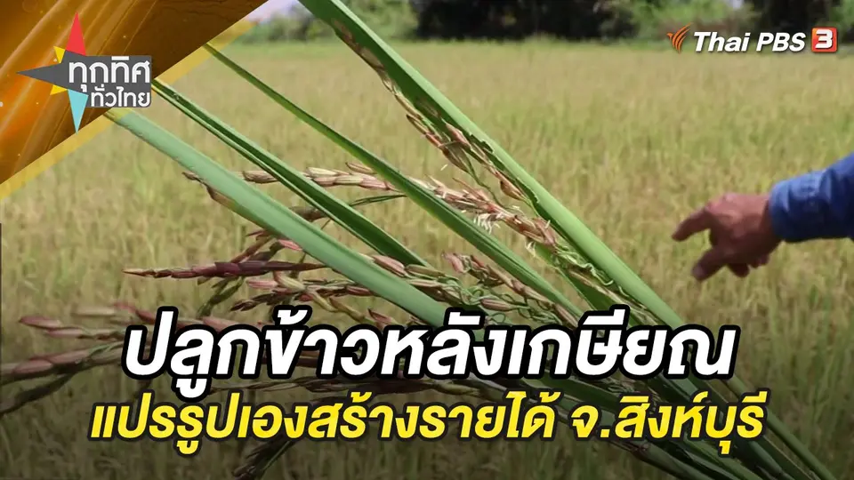 ทุกทิศทั่วไทย