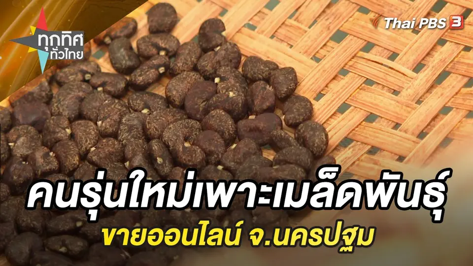 ทุกทิศทั่วไทย