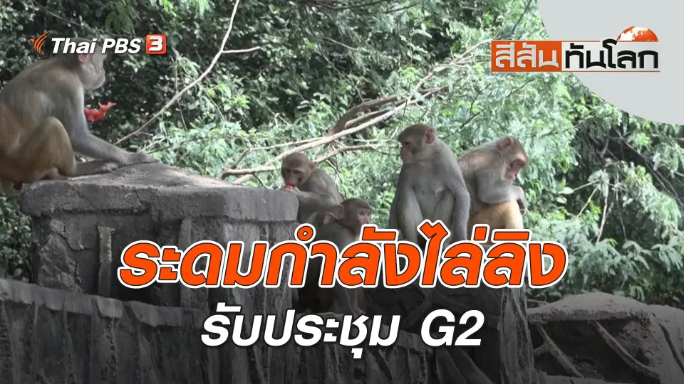 ระดมกำลังไล่ลิงรับประชุม G2 | สีสันทันโลก | 9 ก.ย. 66