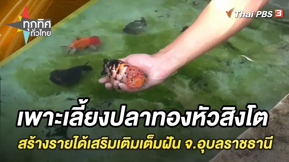 ทุกทิศทั่วไทย