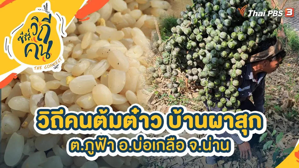 ซีรีส์วิถีคน