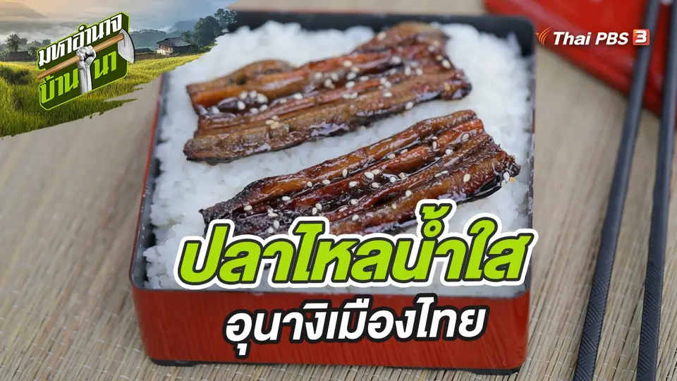 มหาอำนาจบ้านนา