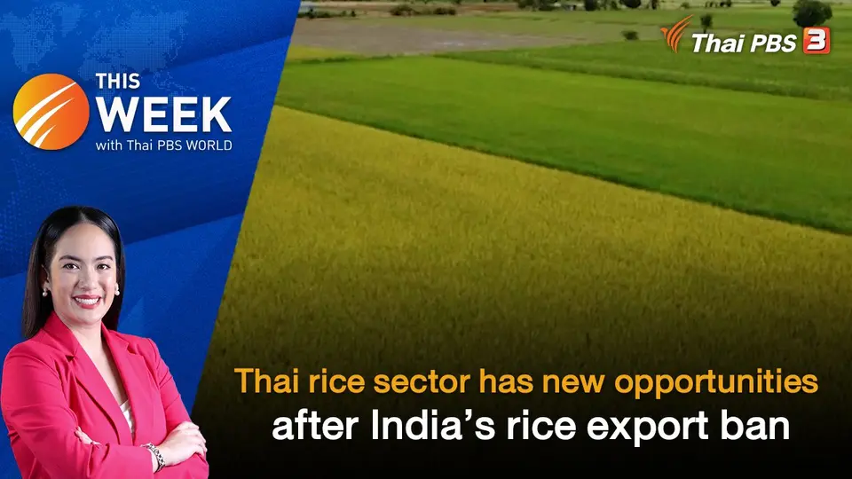 Thai rice sector has new opportunities after India’s rice export ban | 15 SEP 2023