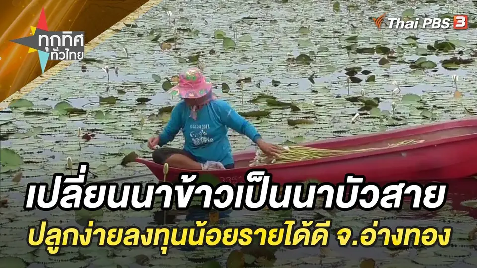 ทุกทิศทั่วไทย