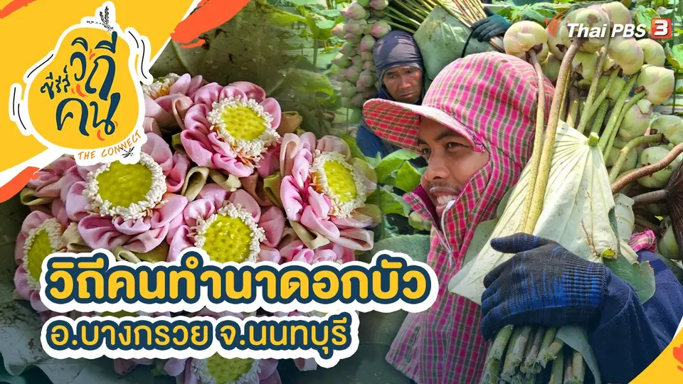 ซีรีส์วิถีคน