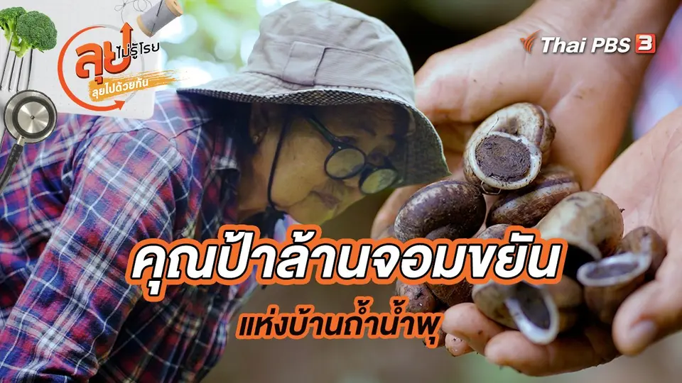ลุยไม่รู้โรย