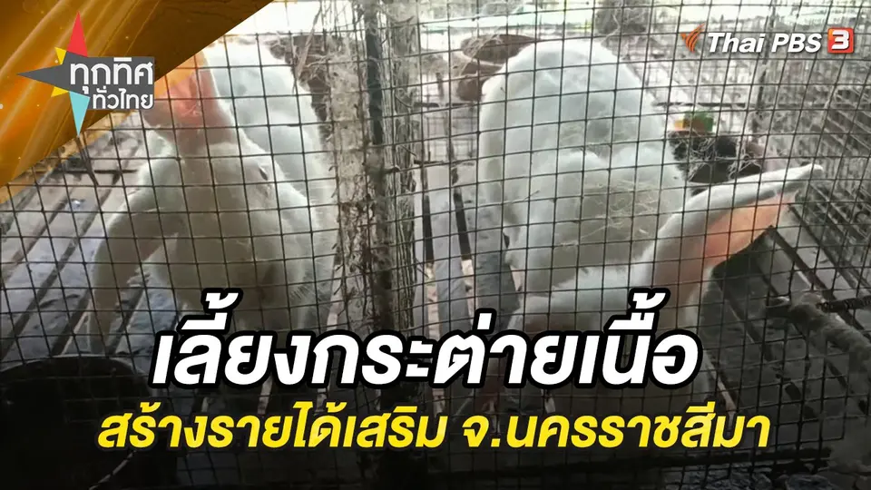 ทุกทิศทั่วไทย