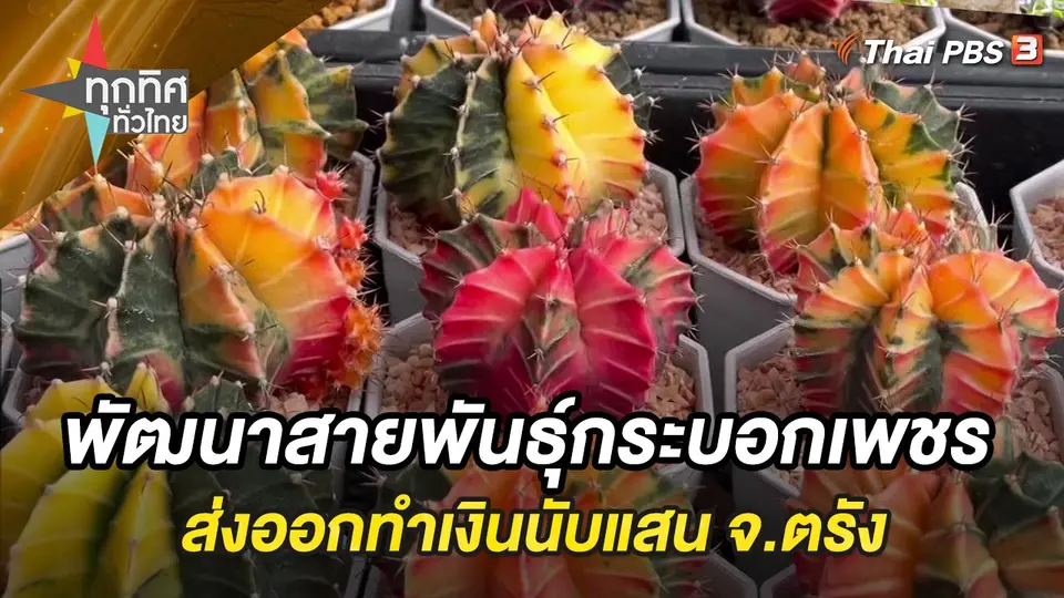 ทุกทิศทั่วไทย