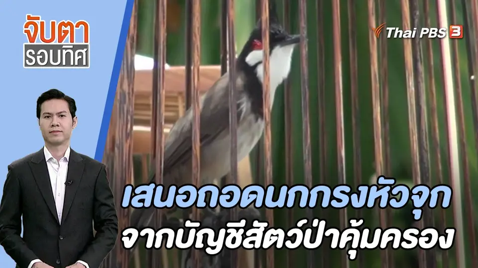 จับตารอบทิศ