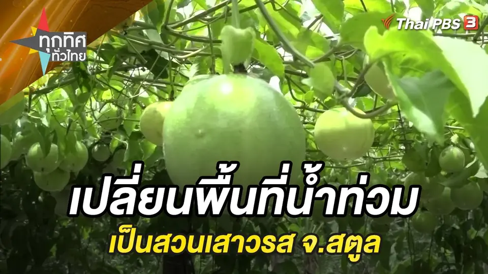 ทุกทิศทั่วไทย