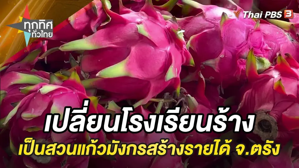 ทุกทิศทั่วไทย