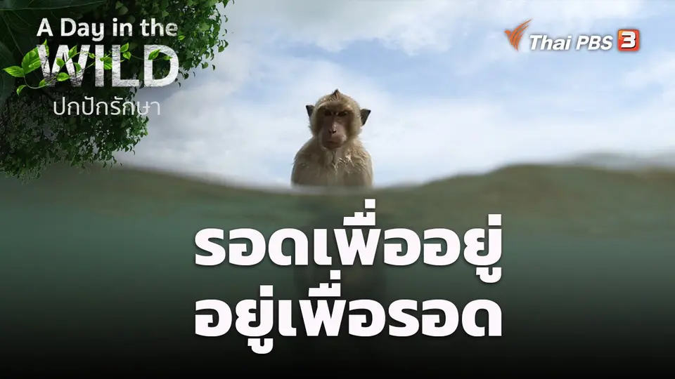 รอดเพื่ออยู่ อยู่เพื่อรอด