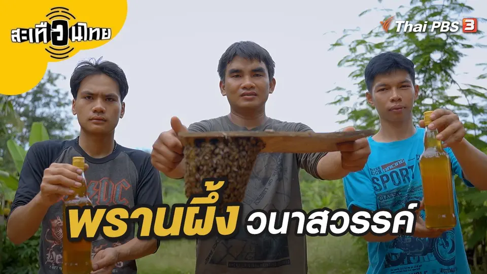 พรานผึ้งวนาสวรรค์