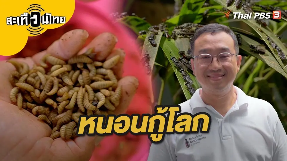 หนอนกู้โลก