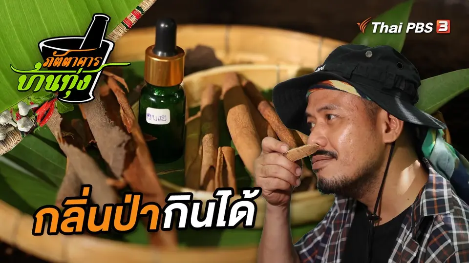 กลิ่นป่ากินได้