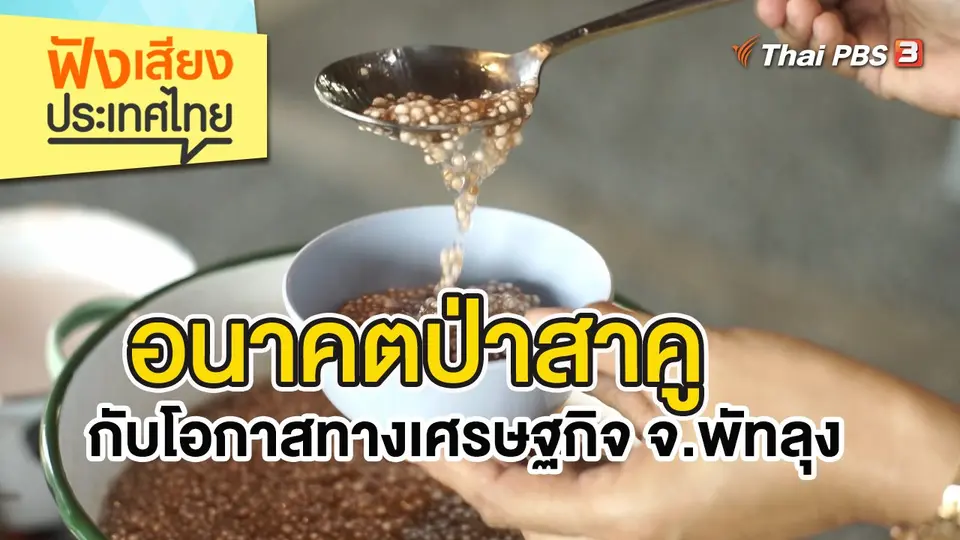 อนาคตป่าสาคูกับโอกาสทางเศรษฐกิจ จ.พัทลุง