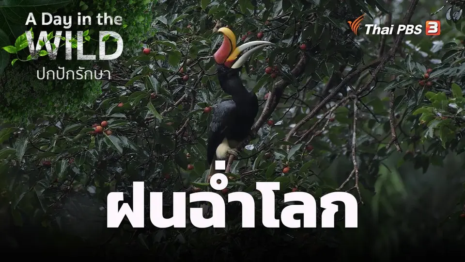 ฝนฉ่ำโลก