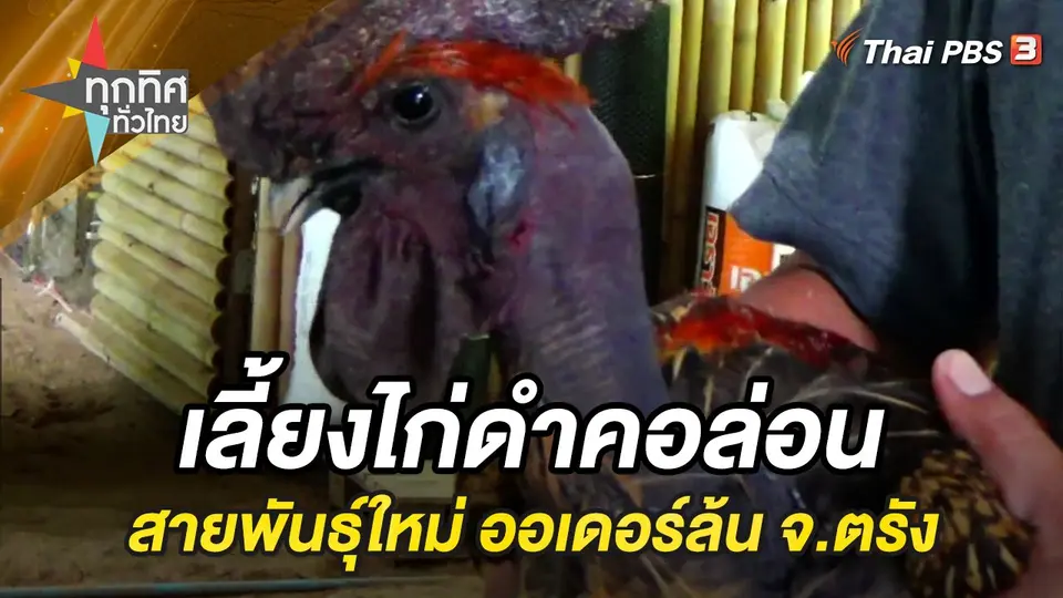ทุกทิศทั่วไทย