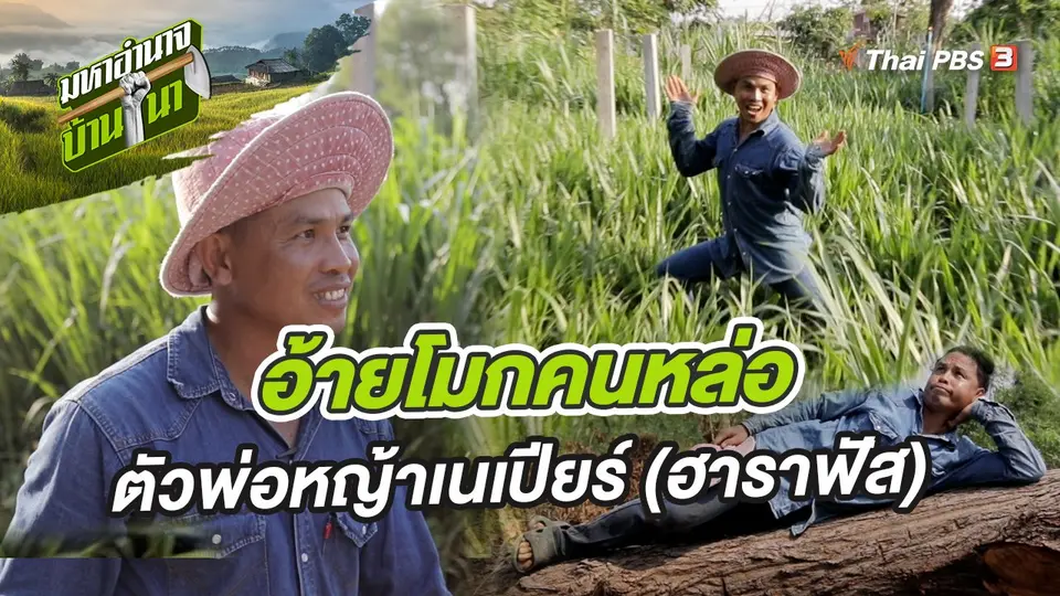 มหาอำนาจบ้านนา