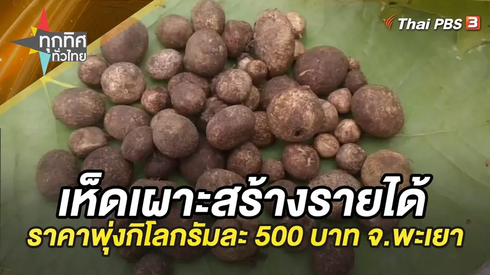 ทุกทิศทั่วไทย