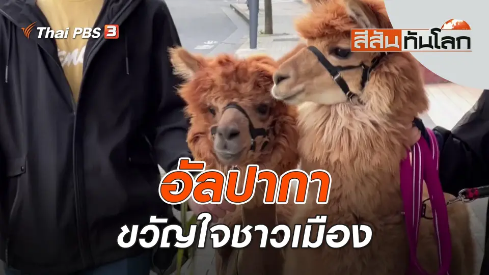 สีสันทันโลก