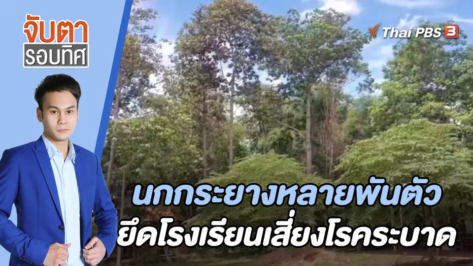 จับตารอบทิศ